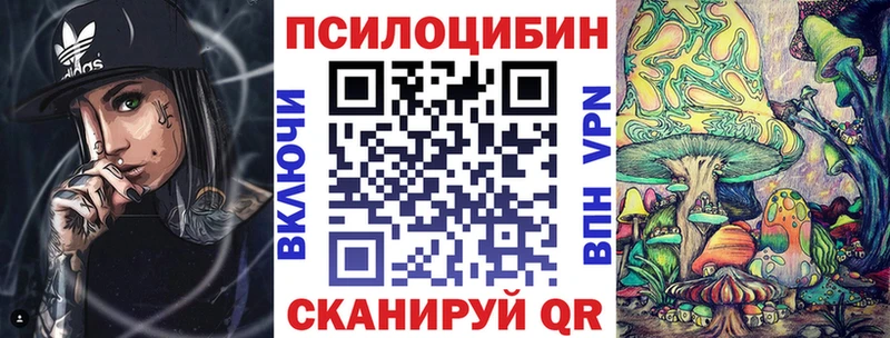 Псилоцибиновые грибы прущие грибы  Владимир 